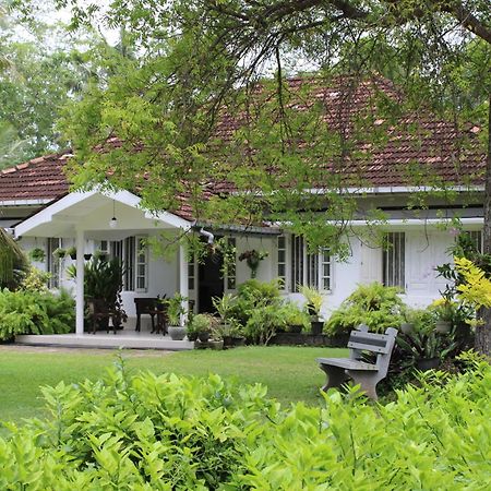Sun And Surf Rest Hotel Ahangama Bagian luar foto