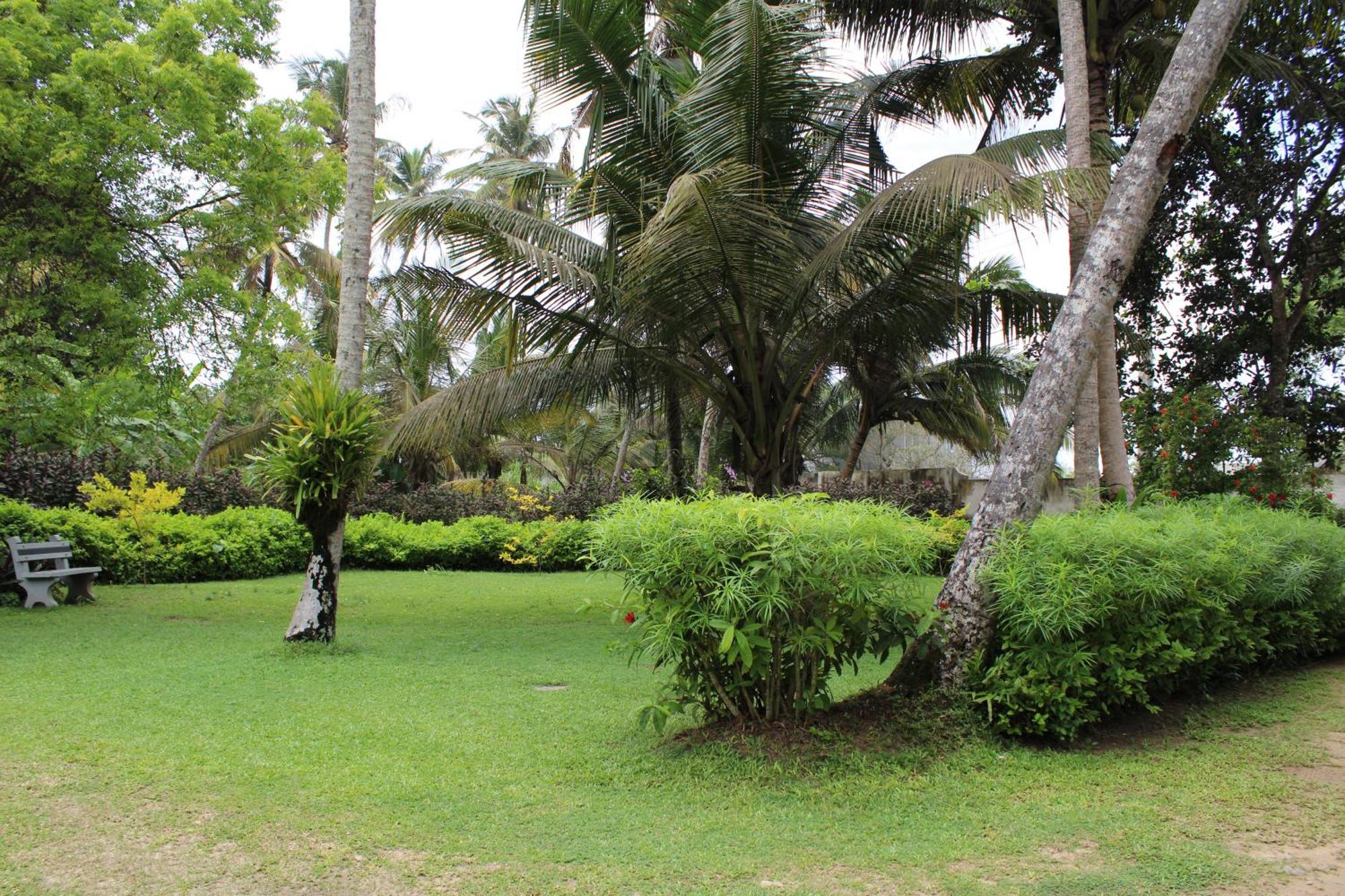 Sun And Surf Rest Hotel Ahangama Bagian luar foto