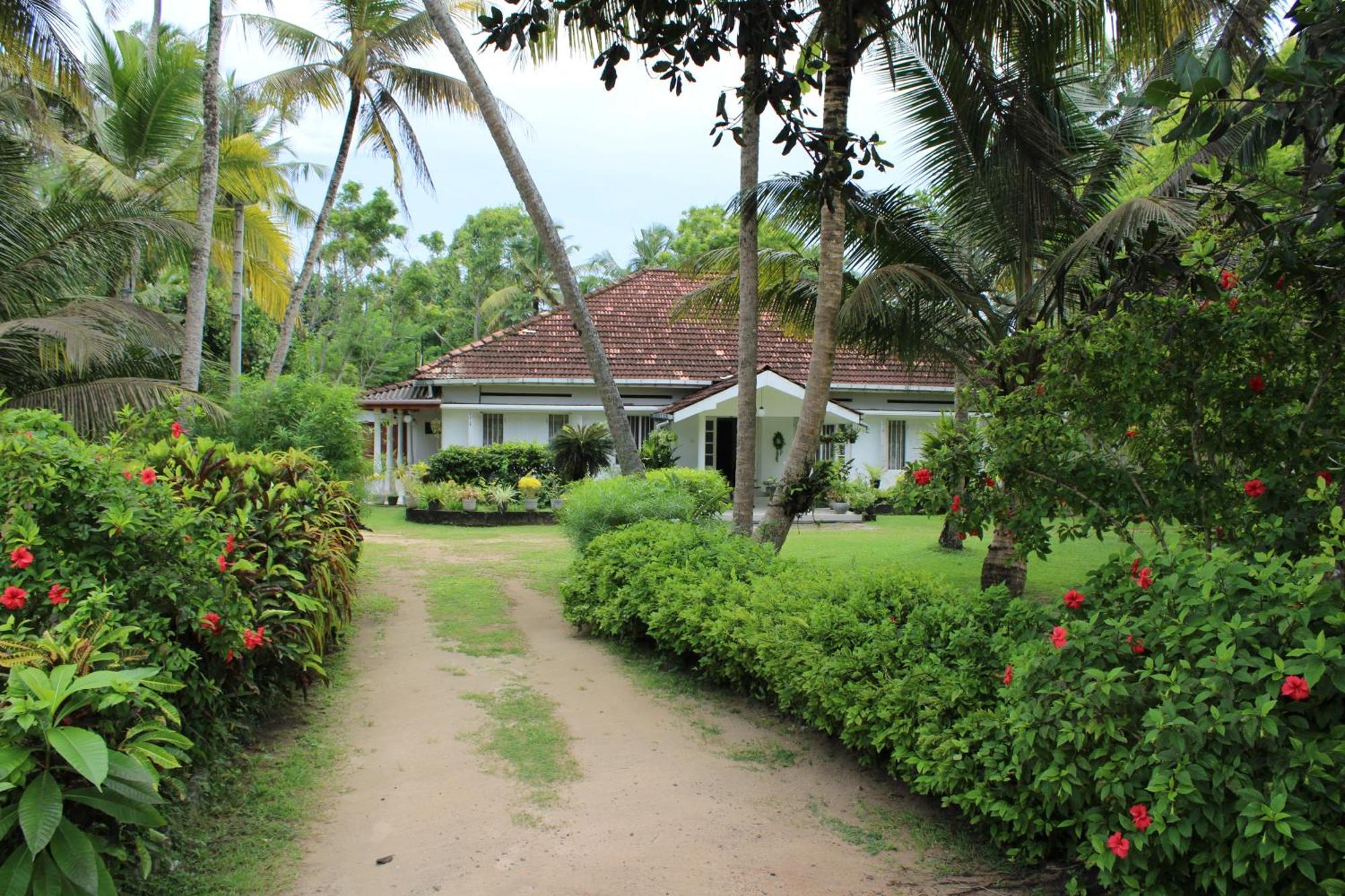 Sun And Surf Rest Hotel Ahangama Bagian luar foto
