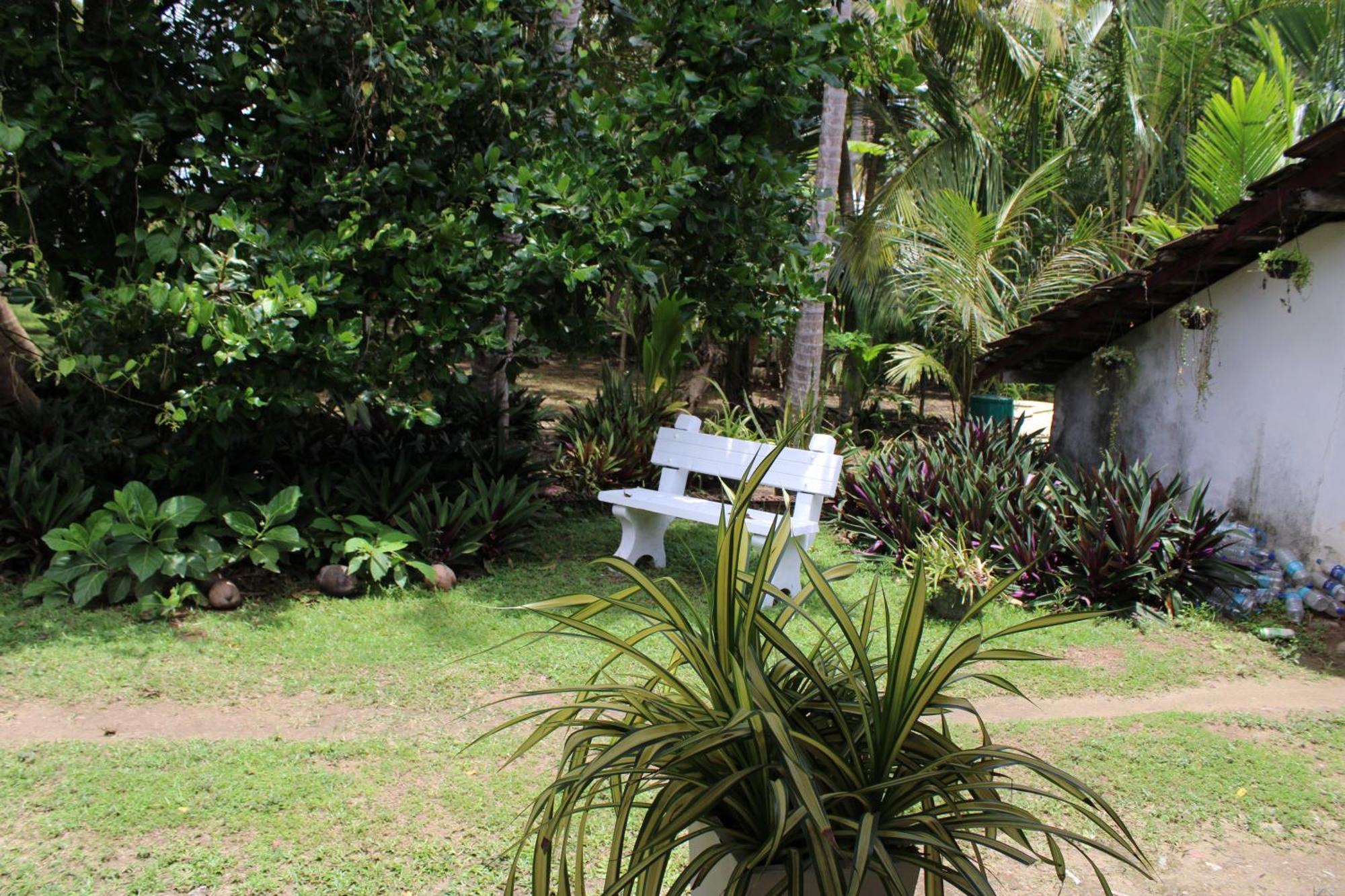 Sun And Surf Rest Hotel Ahangama Bagian luar foto