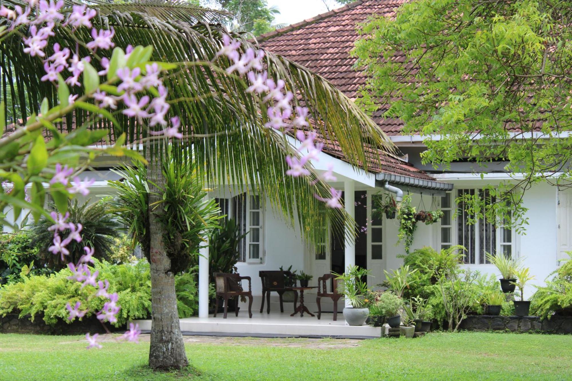 Sun And Surf Rest Hotel Ahangama Bagian luar foto