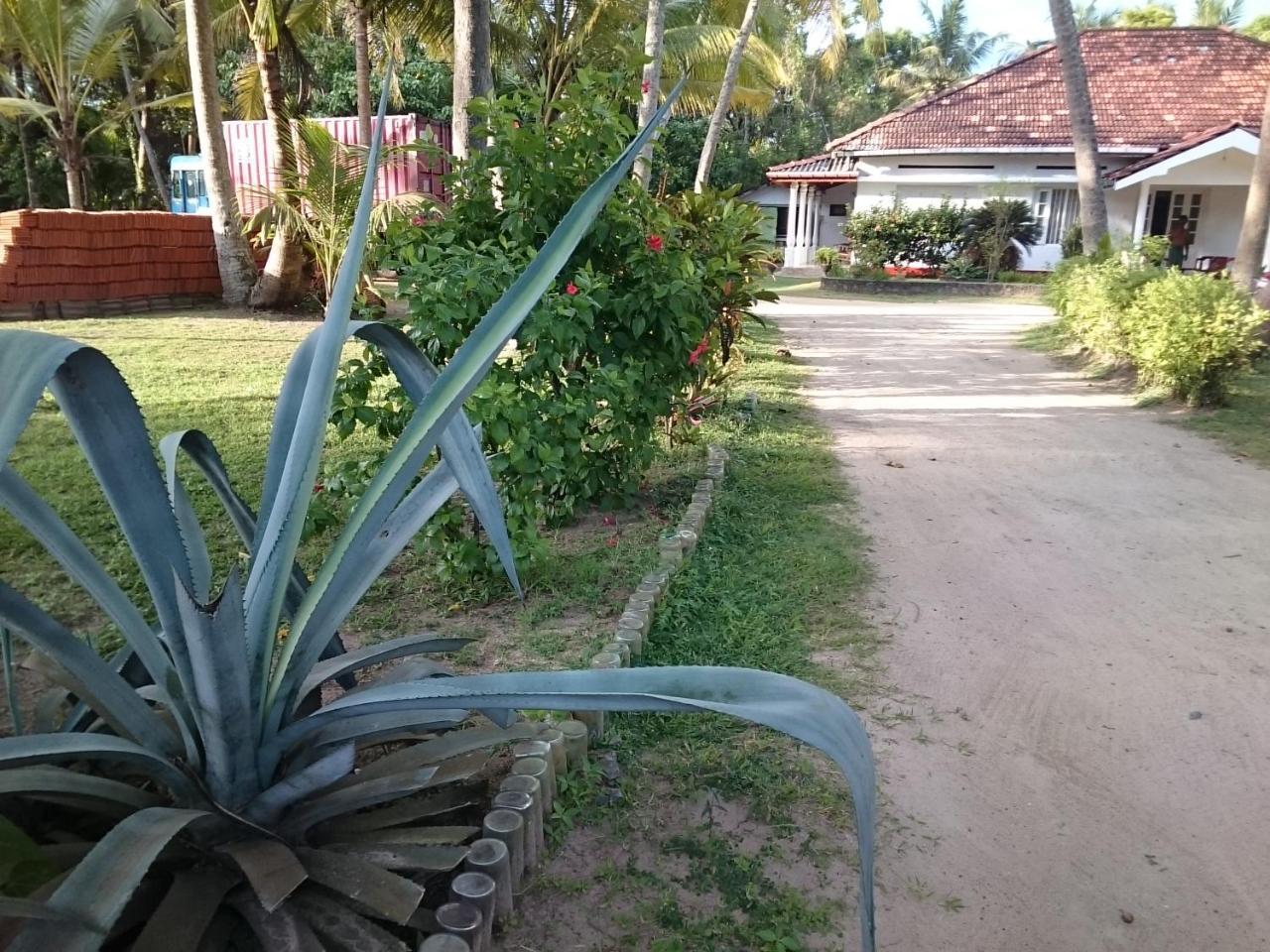 Sun And Surf Rest Hotel Ahangama Bagian luar foto
