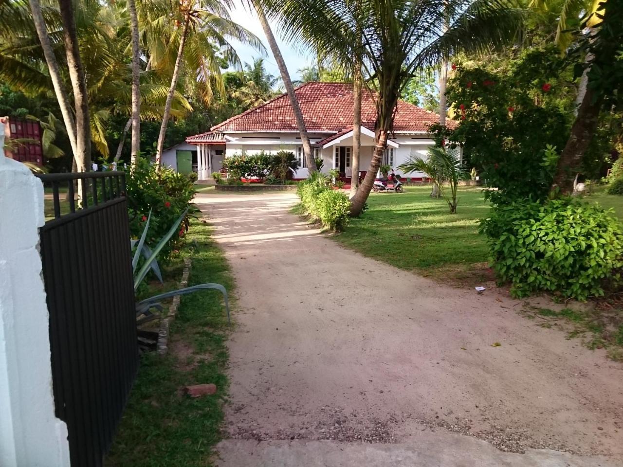 Sun And Surf Rest Hotel Ahangama Bagian luar foto